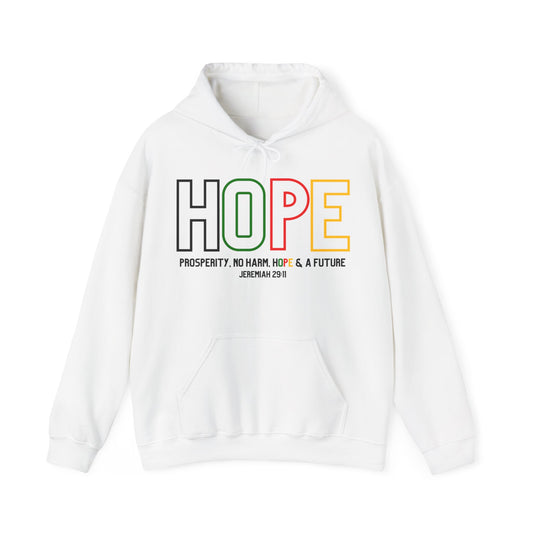 Hope Jeremiah 29:11 Unisex Heavy Blend Hoodie - Style: Gildan 18500